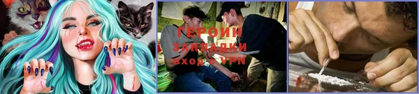 ГАЛЛЮЦИНОГЕННЫЕ ГРИБЫ Михайловка