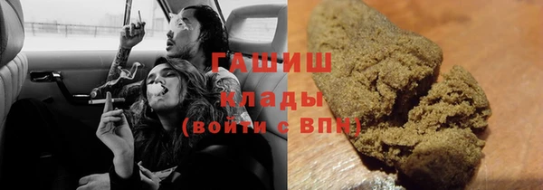 гидра Алексеевка
