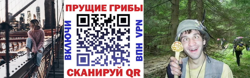 купить   Лесной  Псилоцибиновые грибы MAGIC MUSHROOMS 